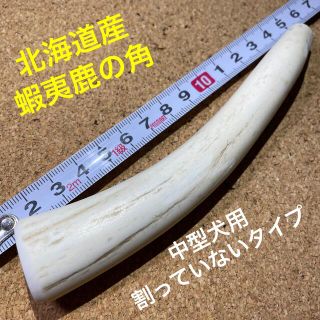 鹿の角　犬のおもちゃ　北海道産　　　　　　　　　　中型犬用角先割っていないタイプ(犬)