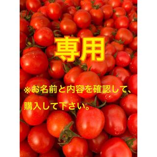 宮崎県産ミニトマト　2kgグラッセレッド入り(野菜)