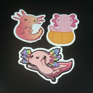 ウーパールーパー AXOLOTL ステッカー シール 3枚セット ⑰(キャラクターグッズ)