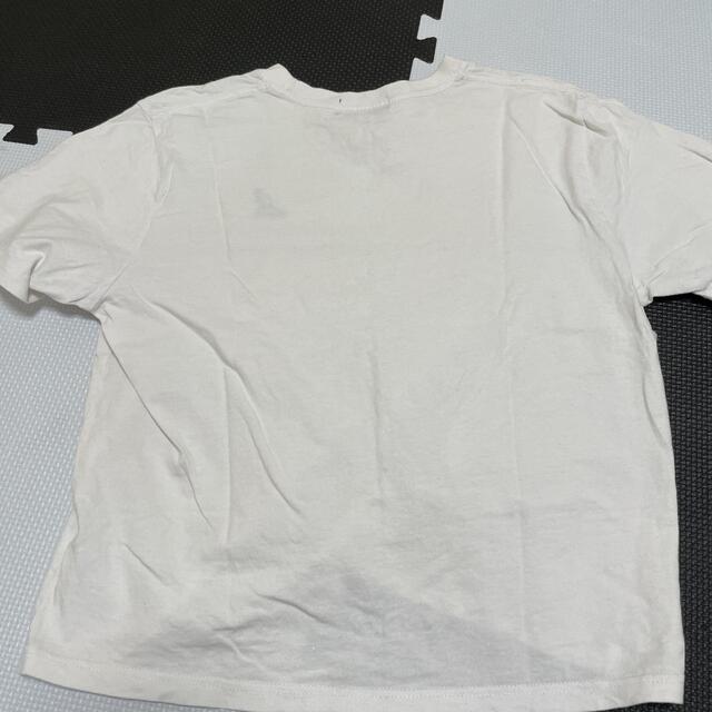 KANGOL(カンゴール)のKANGOL レディース 半袖 カンゴール レディースのトップス(Tシャツ(半袖/袖なし))の商品写真