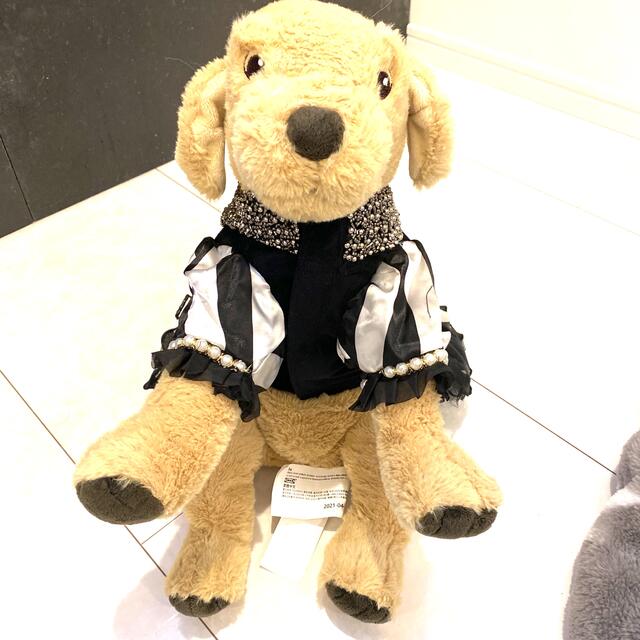 犬服　猫服　ペット服　モノトーンdress  その他のペット用品(犬)の商品写真