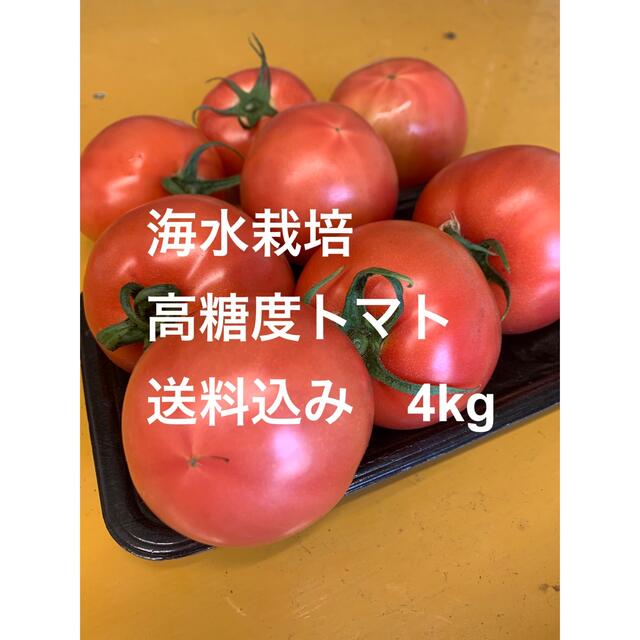 海水栽培　高糖度トマト　大分県産　4kg