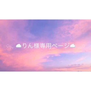 𓏸𓂂𓈒 ☁りん様専用ページ☁️ 𓈒𓂂𓏸(その他)