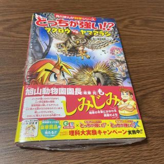 カドカワショテン(角川書店)の「どっちが強い!? フクロウvsヤマアラシ」(絵本/児童書)