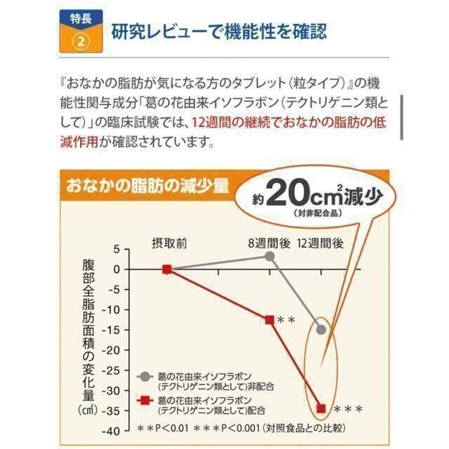 大正製薬(タイショウセイヤク)のおなかの脂肪が気になる方のタブレット　180日分(30日分×6袋)　大正製薬 コスメ/美容のダイエット(ダイエット食品)の商品写真