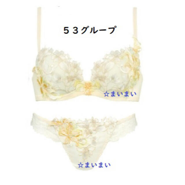 サルート 53グループ アイボリー 2点(ブラ+ソング) clubpetschile.cl