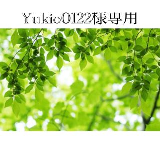 Yukio0122様専用(その他)