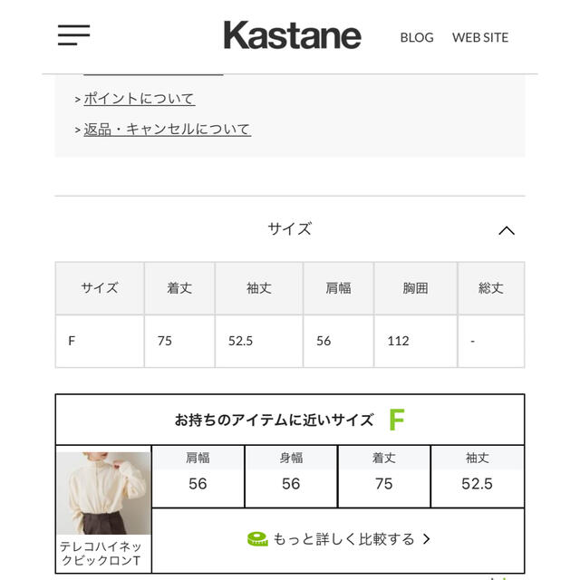 Kastane(カスタネ)のテレコハイネックビックロンT レディースのトップス(カットソー(長袖/七分))の商品写真