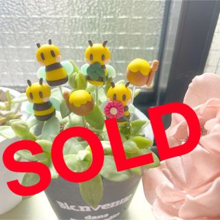 ハンドメイド  ガーデンピック　ミツバチさんとハチミツピック　多肉植物(その他)