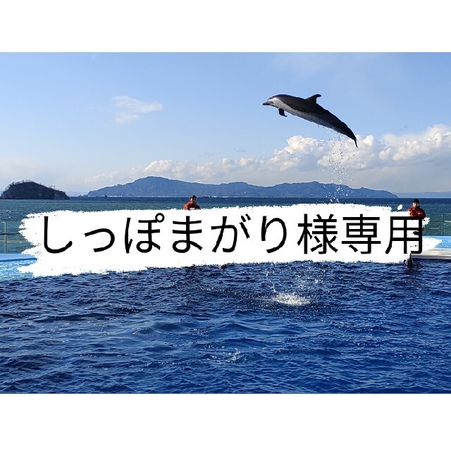 上質で快適 イルカ様専用 タイツのみ kids-nurie.com
