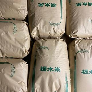 令和2年度産 栃木県産コシヒカリ30キロ 玄米 白米 産地直送安心米(米/穀物)
