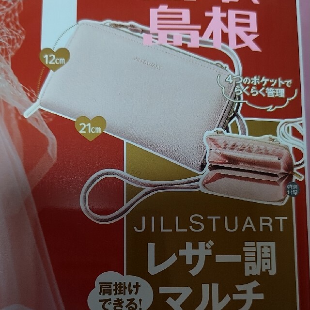 JILLSTUART(ジルスチュアート)のゼクシィ雑誌の付録ジルスチュアートレザー調マルチポシェット レディースのファッション小物(ポーチ)の商品写真