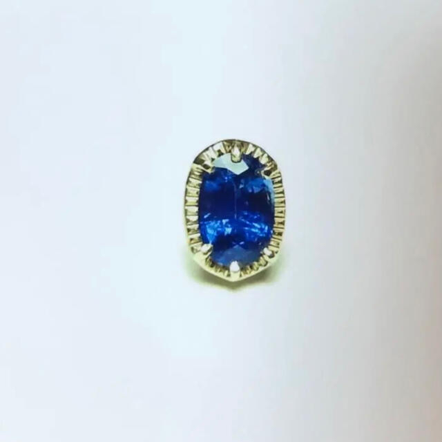 tatsuo nagahata サファイア ピアス - coastalcareeracademy.com