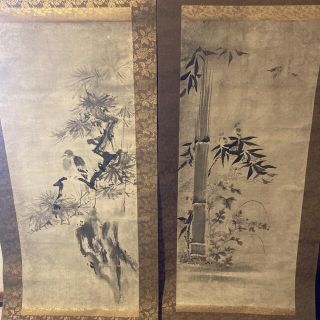 真作】掛軸 丸尾玉琳『老松に鷹之図』紙本 共箱付 掛け軸 a100816