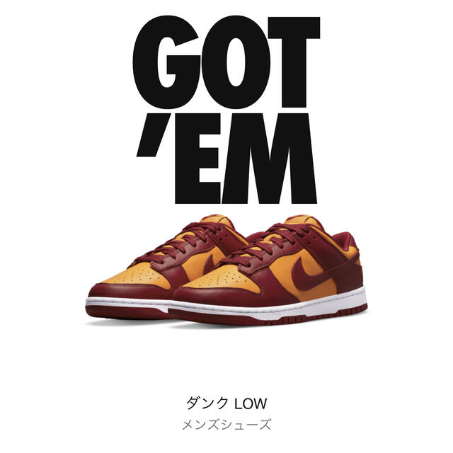 NIKE Dunk Low Championship Gold 28cm