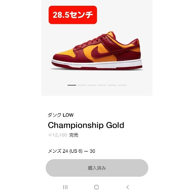 NIKE(ナイキ)の◼️クーポンあり◼️【28.5㎝】ダンクロー　チャンピオンシップ ゴールド メンズの靴/シューズ(スニーカー)の商品写真