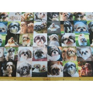 【ゆきちゃん限定】S371-1 シーズー 犬 パネル柄 生地 布 1m