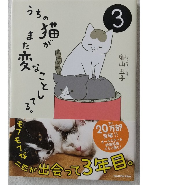 うちの猫がまた変なことしてる1〜3巻 エンタメ/ホビーの漫画(その他)の商品写真