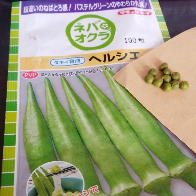 ひまじゅん様専用　野菜の種 オクラ種 ヘルシエ  ネバオクラ　15粒 食品/飲料/酒の食品(野菜)の商品写真