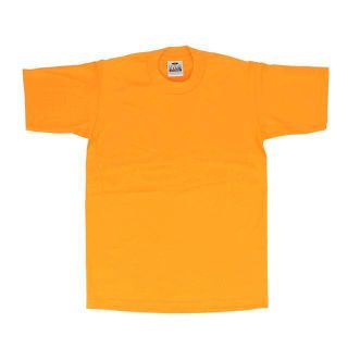 ディッキーズ(Dickies)の【並行輸入】 PRO CLUB プロクラブ 101 半袖 クルーネック HEAV(Tシャツ/カットソー(半袖/袖なし))