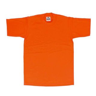 ディッキーズ(Dickies)の【並行輸入】 PRO CLUB プロクラブ 101 半袖 クルーネック HEAV(Tシャツ/カットソー(半袖/袖なし))