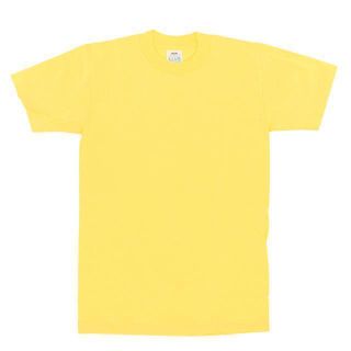 ディッキーズ(Dickies)の【並行輸入】 PRO CLUB プロクラブ 102 半袖 コンフォート Tシャツ(Tシャツ/カットソー(半袖/袖なし))