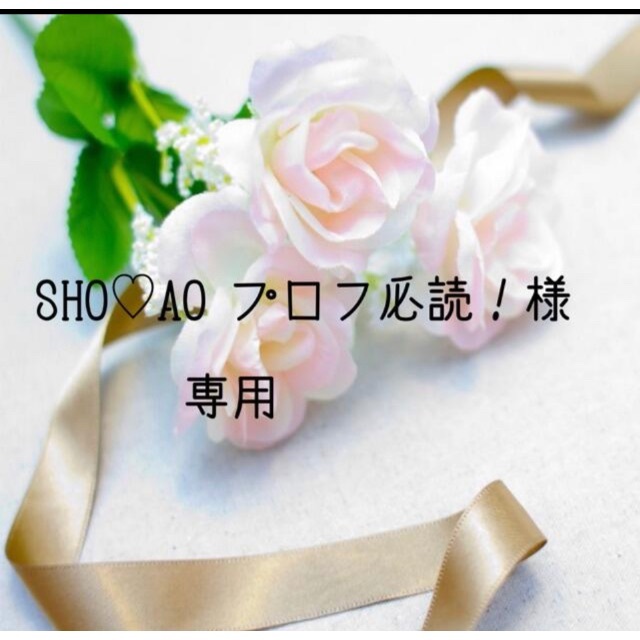SHO♡AO プロフ必読！　お米　令和3年　愛媛県産コシヒカリ　白米10㎏