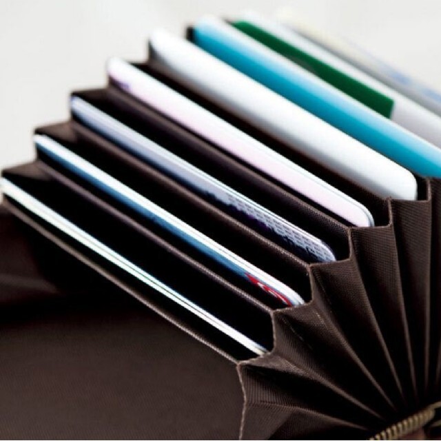 nest Robe(ネストローブ)のネストローブ　じゃばらカードケース付き　本革財布　リンネル付録 レディースのファッション小物(財布)の商品写真