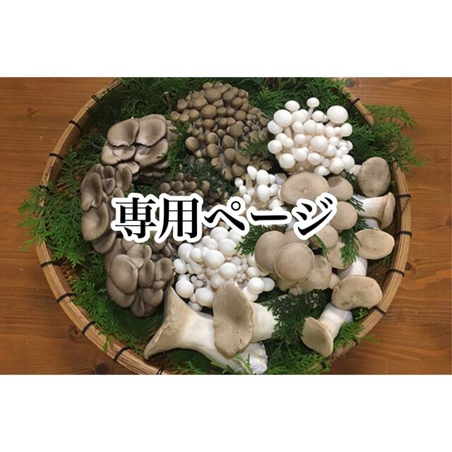 SALE/75%OFF】 専用ページ Happy エリンギ様 kead.al