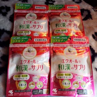 コバヤシセイヤク(小林製薬)の小林製薬　命の母 エクオールと和漢のサプリ20日分×4(その他)