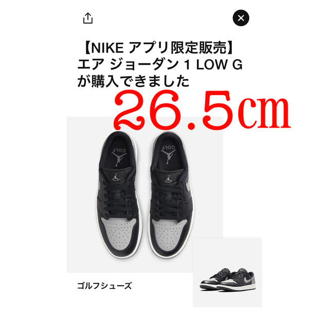 NIKE(ナイキ)のNike Air Jordan 1 Low Golf Shadow 26.5 スポーツ/アウトドアのゴルフ(シューズ)の商品写真