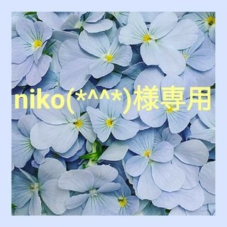 niko(*^^*)様専用(その他)