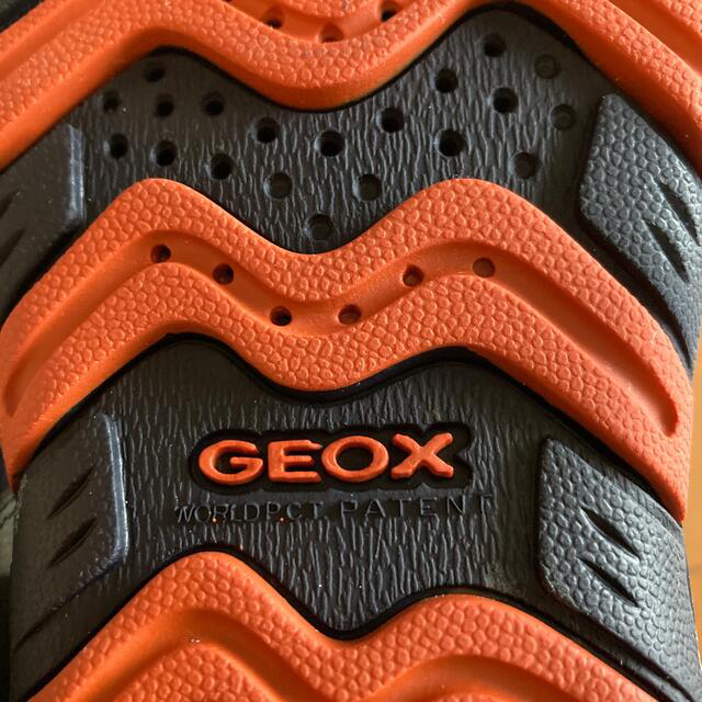 GEOX サンダルスニーカー　23.5 新品タグ、箱付 キッズ/ベビー/マタニティのキッズ靴/シューズ(15cm~)(サンダル)の商品写真