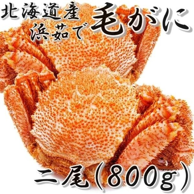 食品/飲料/酒毛ガニ　２尾(約800g)　北海道産　一折れ　発送制限あり