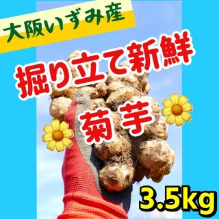 ❤️【菊芋（白）】3.5kg〜新型コロナ「まん延防止」対策にも❣️(野菜)