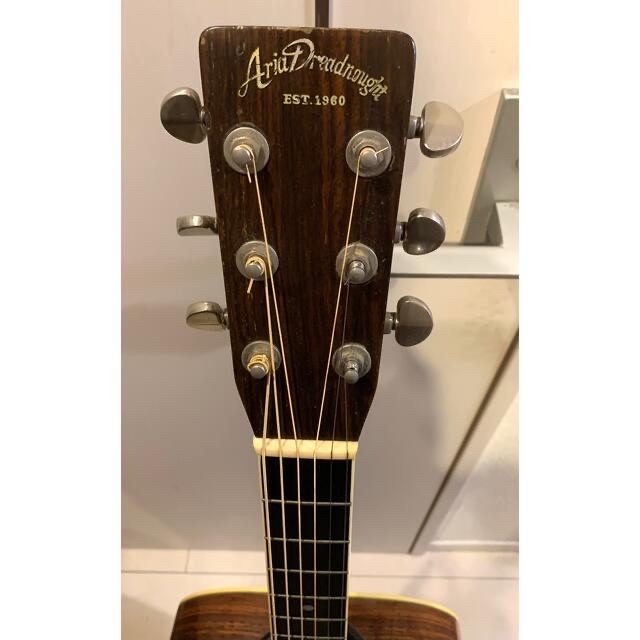 ARIA D-60(ジャパンビンテージ/松岡良治)+フィッシュマンシングル