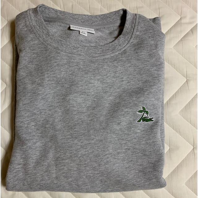 LACOSTE(ラコステ)のラコステスウェット（グレー・XXL) メンズのトップス(スウェット)の商品写真