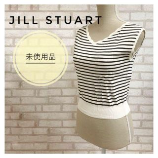 ジルスチュアート(JILLSTUART)のJILL STUART ジルスチュアート レディース ニット ベスト ボーダー(ニット/セーター)