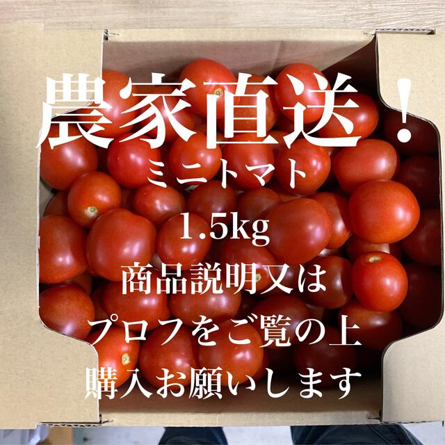 減農薬ミニトマトキャロル2kg