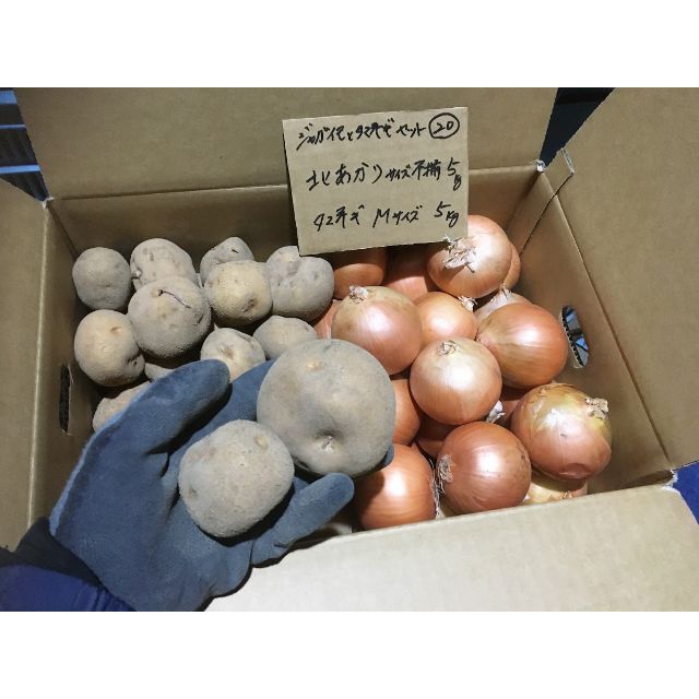 北海道産 ジャガイモとタマネギのセット 10kg 農家直送