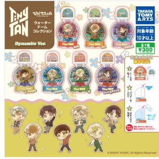 ボウダンショウネンダン(防弾少年団(BTS))のTinyTAN ウォータドームコレクション　グク(アイドルグッズ)