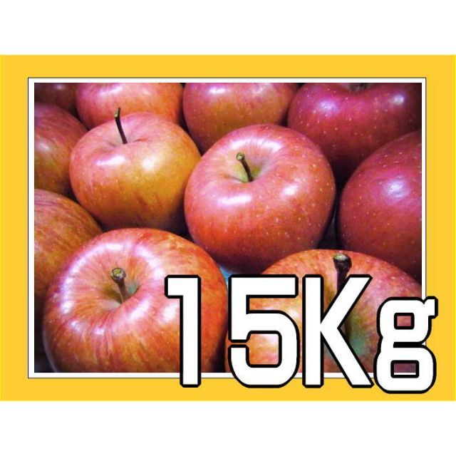 15kg以上【正直リンゴ】サンフジ　サンふじ 【小玉】家庭用りんご