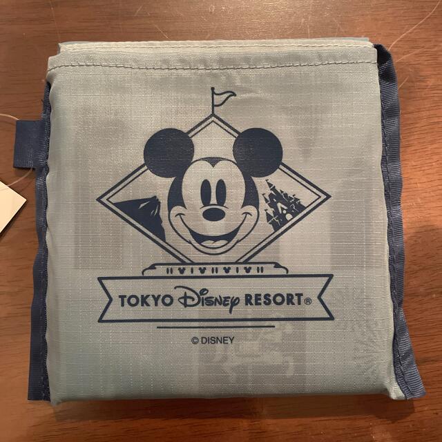 Disney(ディズニー)のディズニーランド　　エコバッグ レディースのバッグ(エコバッグ)の商品写真