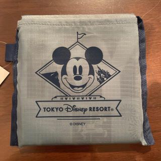 ディズニー(Disney)のディズニーランド　　エコバッグ(エコバッグ)