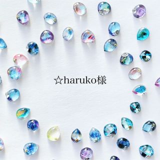 ＊☆haruko様専用＊(ピアス)