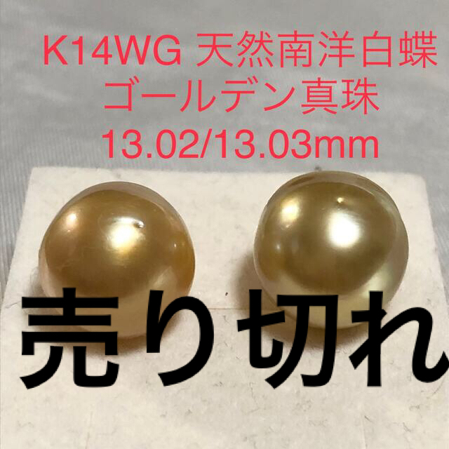 K14WG 天然南洋白蝶ゴールデン真珠　ピアス13mmup