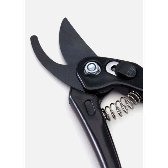 SRL S-GARDEN CLIPPERS ネイバーフッド-www.coumes-spring.co.uk