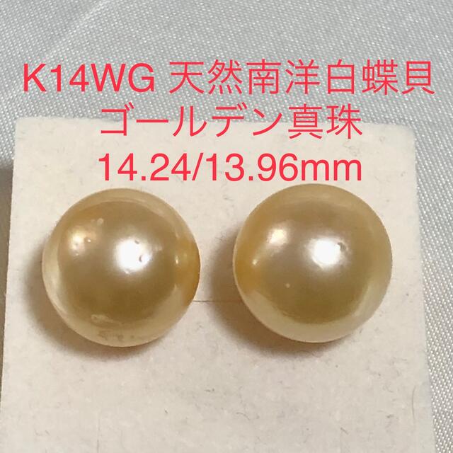 K14WG 天然南洋白蝶ゴールデン真珠　丸系ピアス13.96/14.24mm