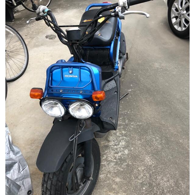 ホンダ(ホンダ)のズーマー青 自動車/バイクのバイク(車体)の商品写真