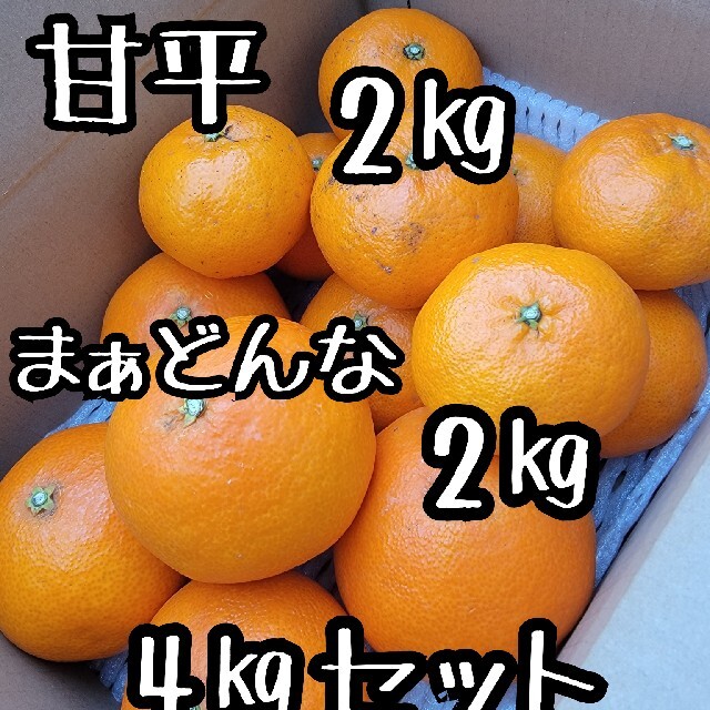 toramaru's　まぁどんな　柑橘　愛媛県産　ミカン　by　4kg　甘平　まどんなの通販　少し訳あり　shop｜ラクマ